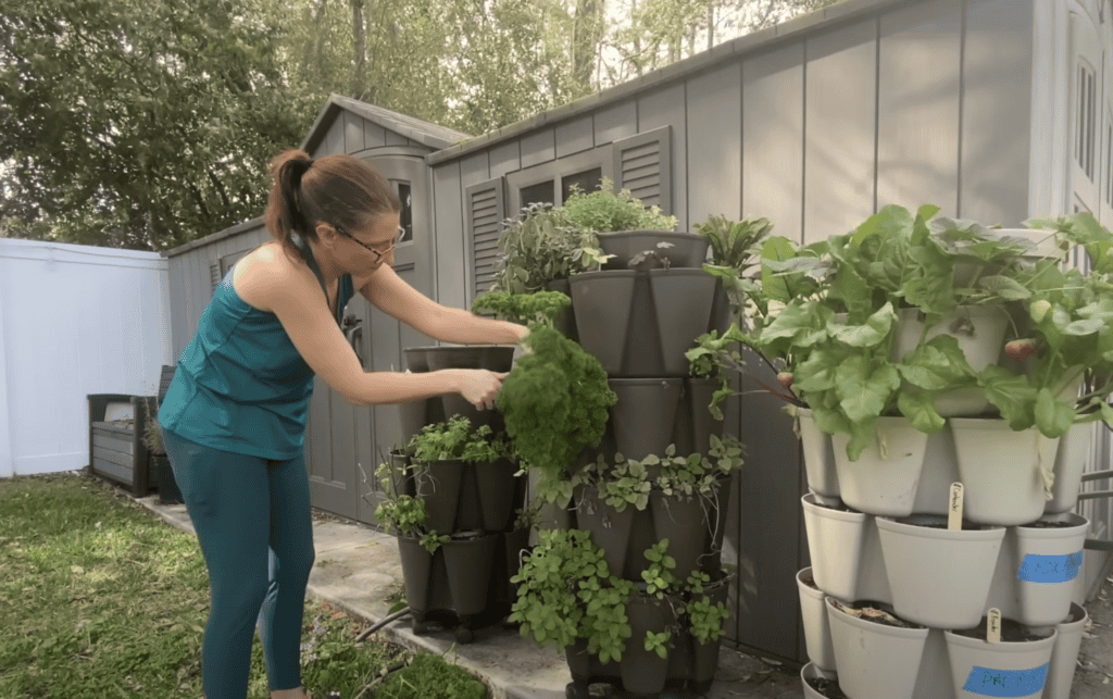 Clearing Winter Plants